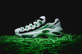 shoe
